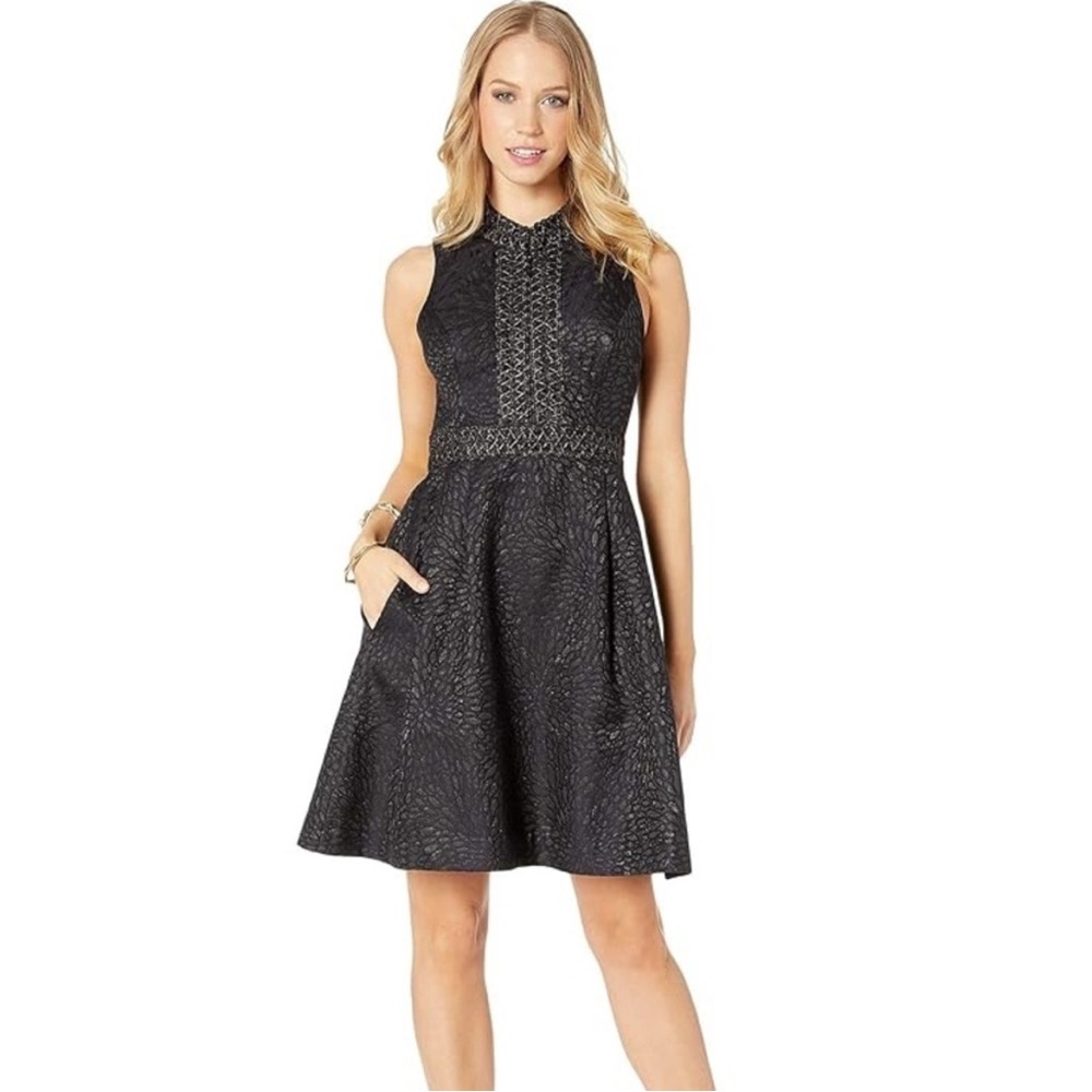 Lilly Pulitzer Franci Dress - Picture 3 of 14